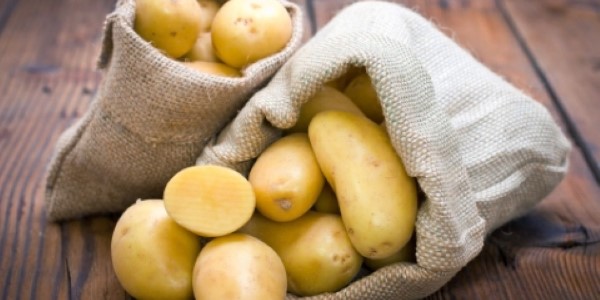 تصویر 2 از خرید و قیمت سیب زمینی ارگانیک + فروش صادراتی